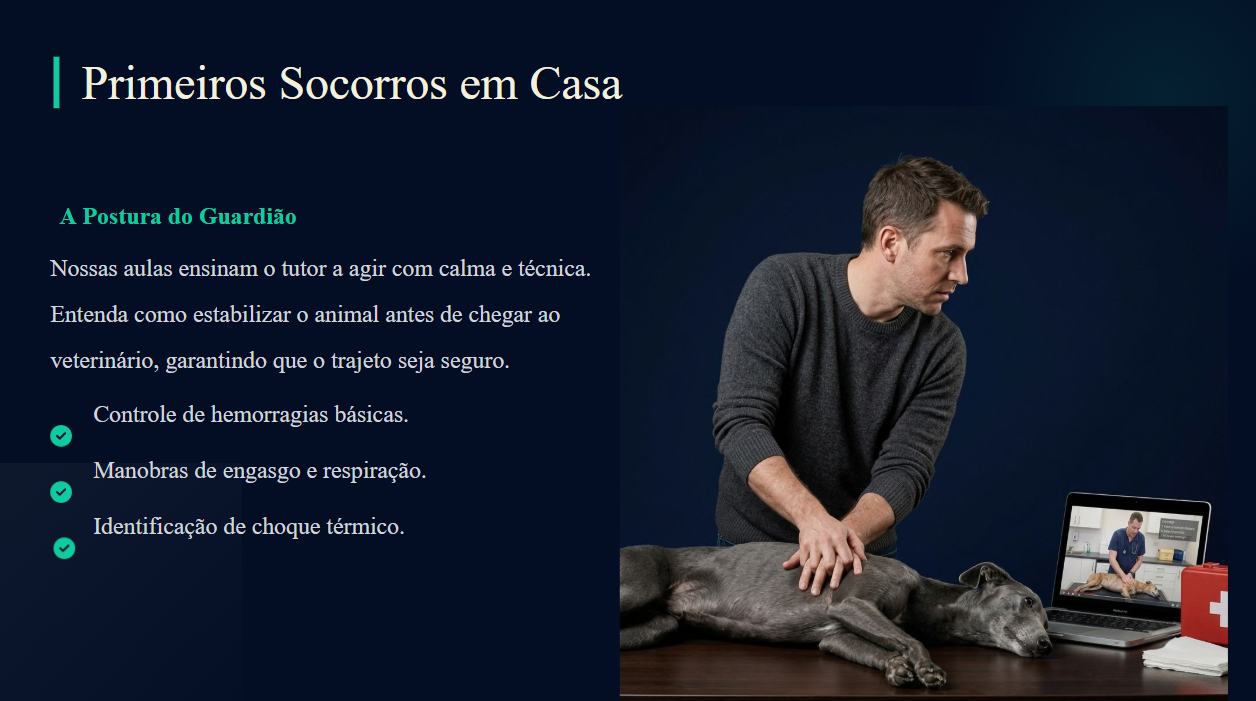 Videoaula ConectaVet 4