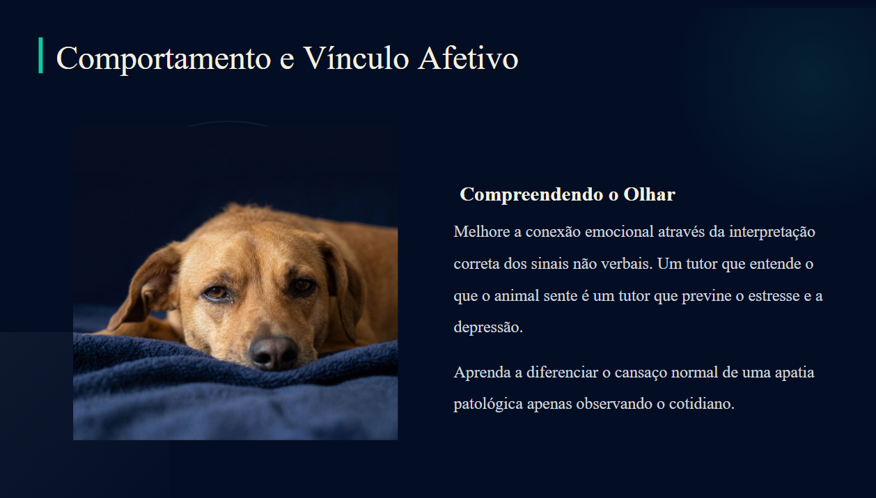 Videoaula ConectaVet 5