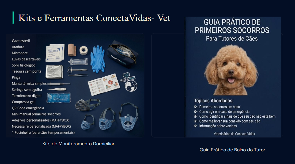 Videoaula ConectaVet 9